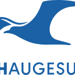 Haugesund W